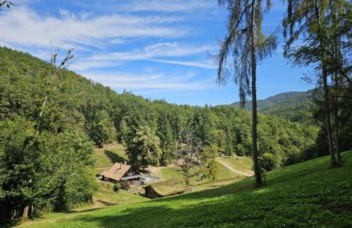 Soultzbach les Bains Chalet De Esquí | Domaine du Petit Dorsbach