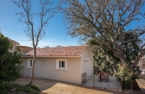 Barbaggio Apartamento | área Ghjulia - apartamento Casa Castagniccia en el corazón de los viñedos