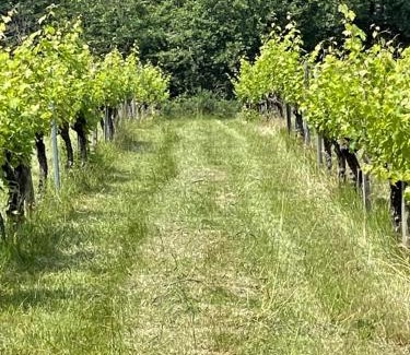 Savignac-de-Duras Casa | Domaine Le Nourrissat
