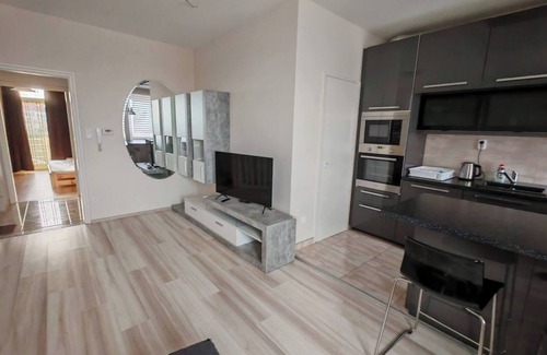 Kecskemet Apartamento | Apartamento Domby con balcón