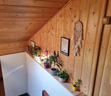 Raspenava Apartamento | Domeček u Grizzlyho
