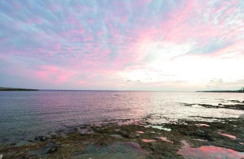 Ayia Napa Hotel | Dome Beach Marina Hotel & Resort