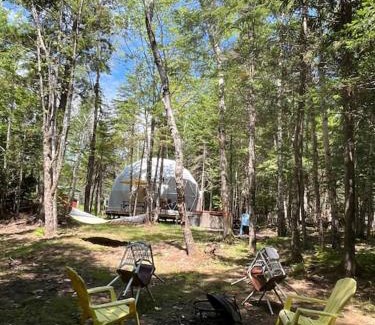 New Maryland Chalet De Esquí | Dome