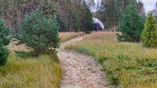 Pohja-Parnumaa Parish Casa | Dome house expierence near the river with sauna
