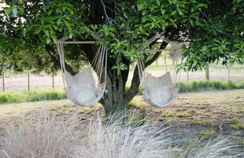Rotorua District Otro | DomeHome