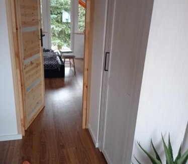 Rydzewo Casa | Domek BOHO