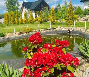Krajno Pierwsze Apartamento | Domek caloroczny Panorama Swietokrzyska