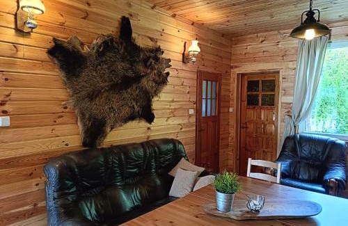 Ostrow Wielki Casa | Domek JEZIORACZEK BIS