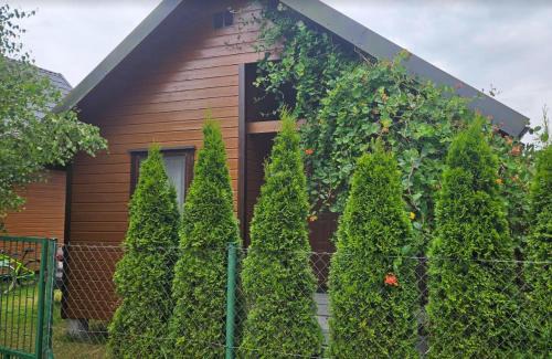 Postomino Chalet De Esquí | Domek KLIMATYZOWANY parterowy - Domki u Staszka