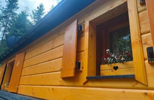 Makow Podhalanski Chalet De Esquí | Domek Krasnal