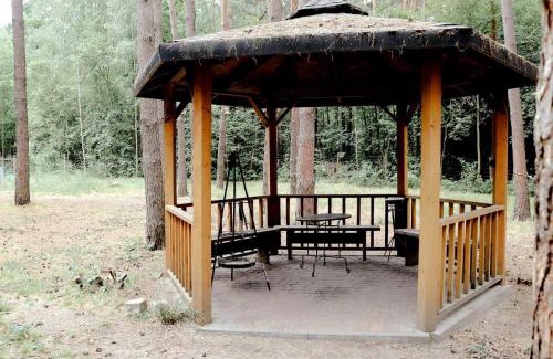 Radziejowice Casa | Domek na Drzewie Radziejowice blisko Suntago