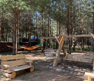 Dzwierzuty Casa | Domek pod lasem