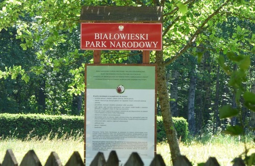 Narewka Cabina | Domek przy Wilczym Szlaku