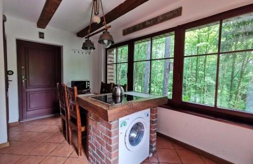 Zwierzyniec Apartamento | Domek Samotnia w ogrodzie
