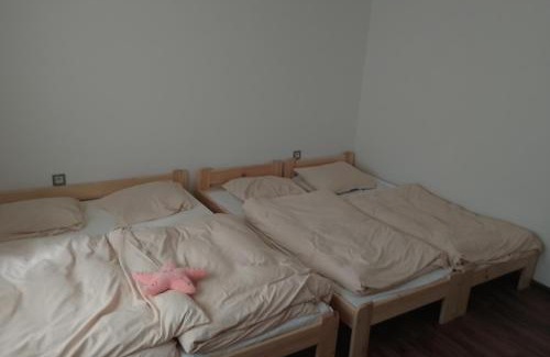 Vamberk Casa | Domek u lesa