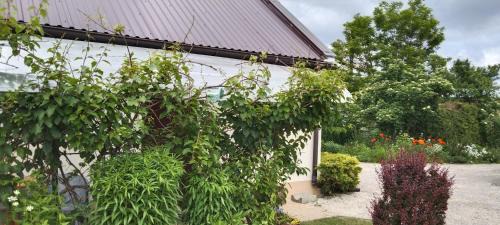 Cminsk Casa | Domek w Ćmińsku
