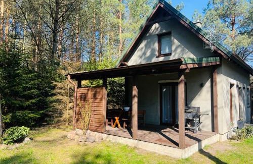 Gostycyn Casa | Domek w Borach Tucholskich z balia ogrodowa