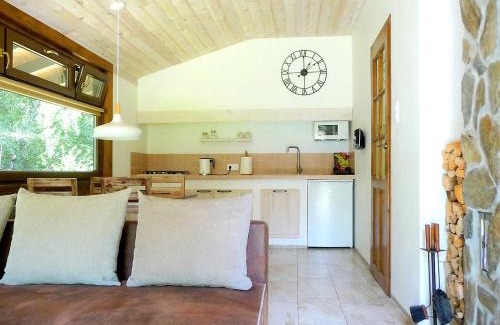 Krokowa Casa | Domek w Brzozowym Lesie
