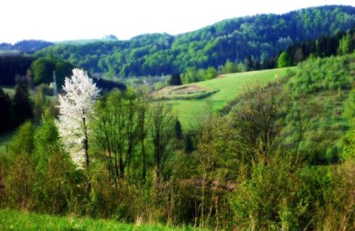 gmina Lewin Kłodzki Casa | Domek w górach Lewin Kłodzki koło Kudowy Zdrój