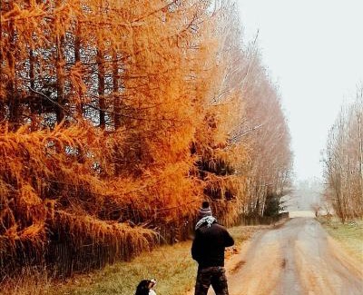gmina Urszulin Chalet De Esquí | Domek w Poleskim Parku