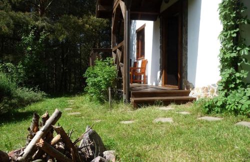 Krokowa Casa | Domek w Sosnowym Lesie