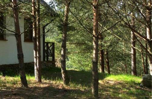 Krokowa Casa | Domek w Sosnowym Lesie