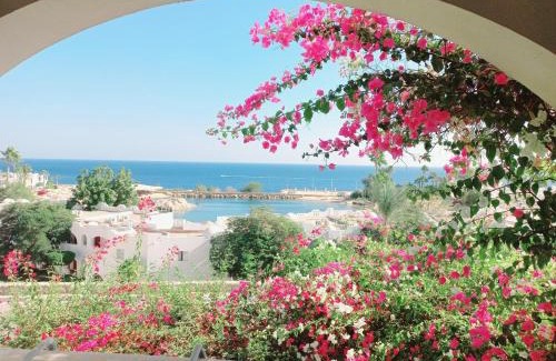 Sharm El Sheikh Hotel | Domina Coral Bay - Salt Lake & Sea view