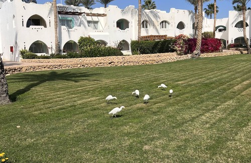 Nuweiba Apartamento | Domina coral bay sharm el sheik