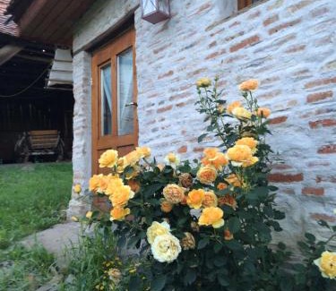 Cloasterf Casa | Dominic Boutique - Gardener's Cottage