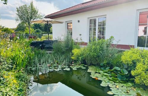 Cottbus Casa | Domizil am Branitzer Park