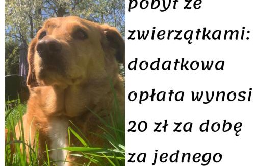 Milkow Casa | Domki całoroczne - u Ptaka - Miłków