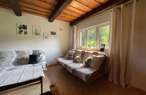 Mirsk Casa | Domki nad strumykiem