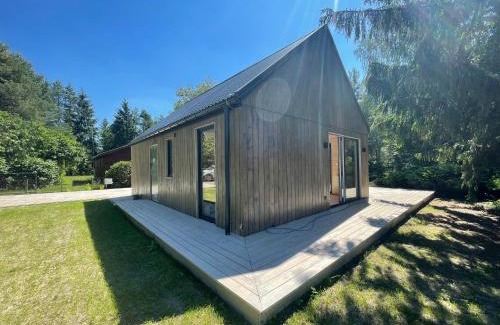 Stromiec Casa | Domki Skandynawskie nad Pilicą, Duży Domek
