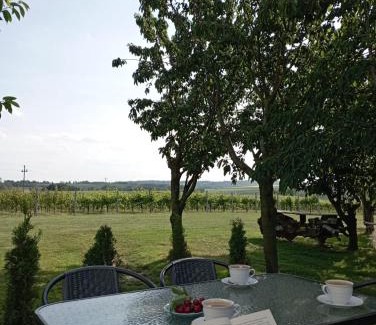 gmina Cmielow Casa | Domki w Winnicy - Świętokrzyska Winnica Knapów