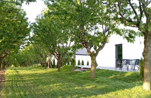 gmina Cmielow Casa | Domki w Winnicy - Świętokrzyska Winnica Knapów