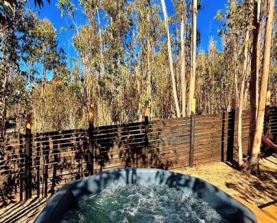 Tunquen Otro | DOMO de Lujo con Tinaja en el Bosque de Tunquen