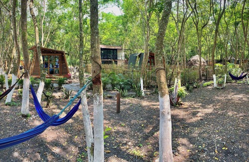 Utica Casa | “Domo Nativo: Aventura y Relax en el Corazón del Bosque”