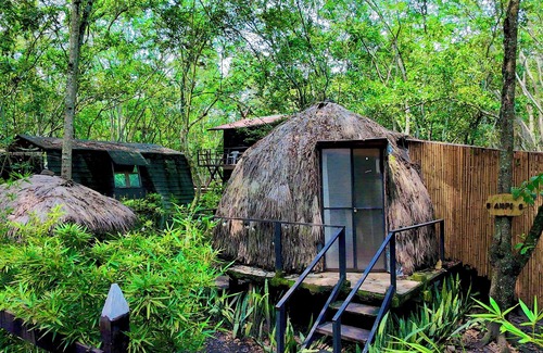 Utica Casa | “Domo Nativo: Aventura y Relax en el Corazón del Bosque”