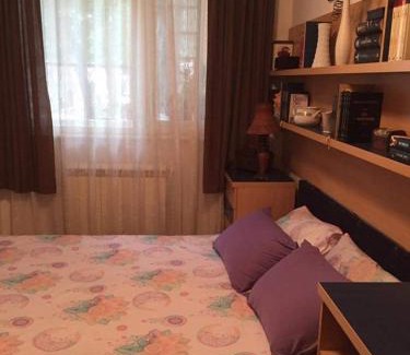 Dorcol Apartamento | Donji Grad