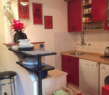 Dorcol Apartamento | Donji Grad