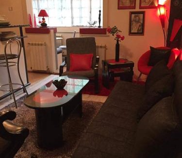 Dorcol Apartamento | Donji Grad