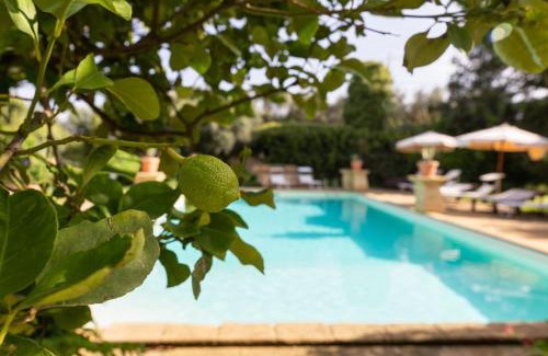 Mockarta Apartamento | Donna Vittoria - Grande