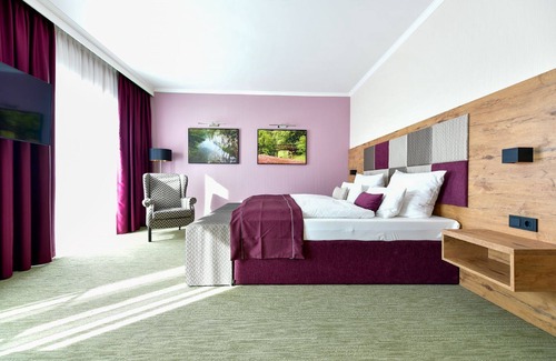 Cottbus Complejo | Doppelzimmer Komfort - Best Western Plus Parkhotel & Spa Cottbus