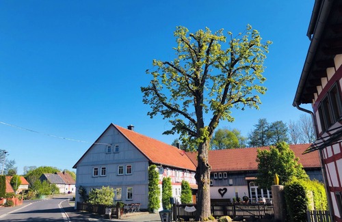 Bermuthshain Apartamento | Doppelzimmer mit Frühstück