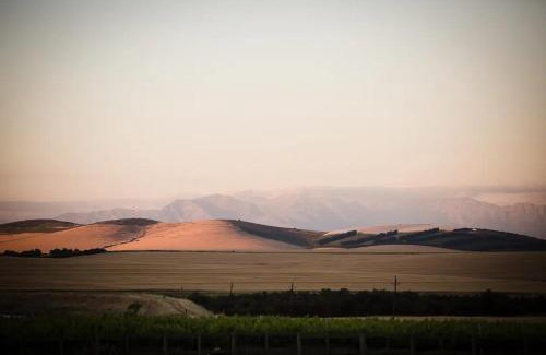 Wellington Casa | Doran Vineyards