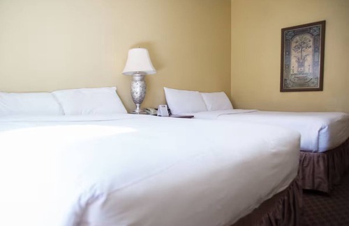 Mount Charleston Hotel | Double Queen Room at The Retreat on Charleston Peak – All-Season Mountain Escape