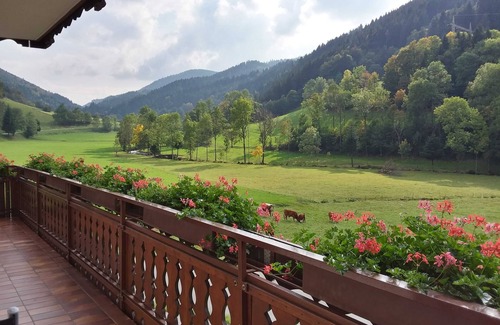 Elzach Apartamento | Habitación doble 1 con baño y ducha, 1 - 2 personas - Mosertonihof