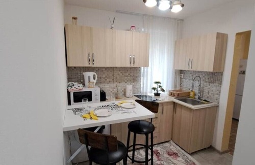 Ramnicu Valcea Apartamento | dovali apartment