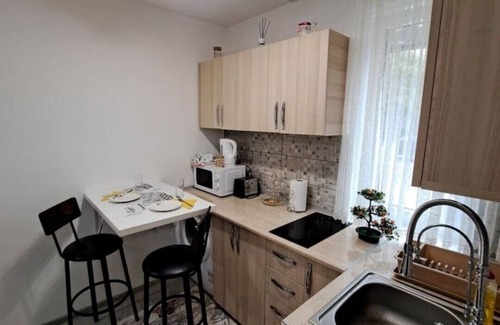 Ramnicu Valcea Apartamento | dovali apartment