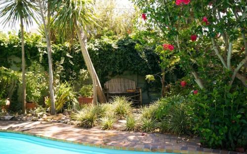 Bergvliet Apartamento | Dove Cottage @ Squirrel's End